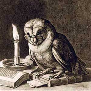 wise-old-owl